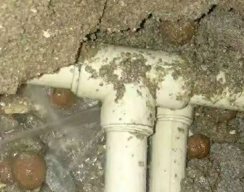 隆子测漏水多少钱